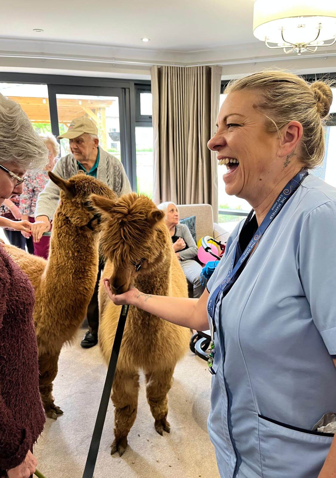 Mayfield welcomes unusual guests! The Mayfield Care Home