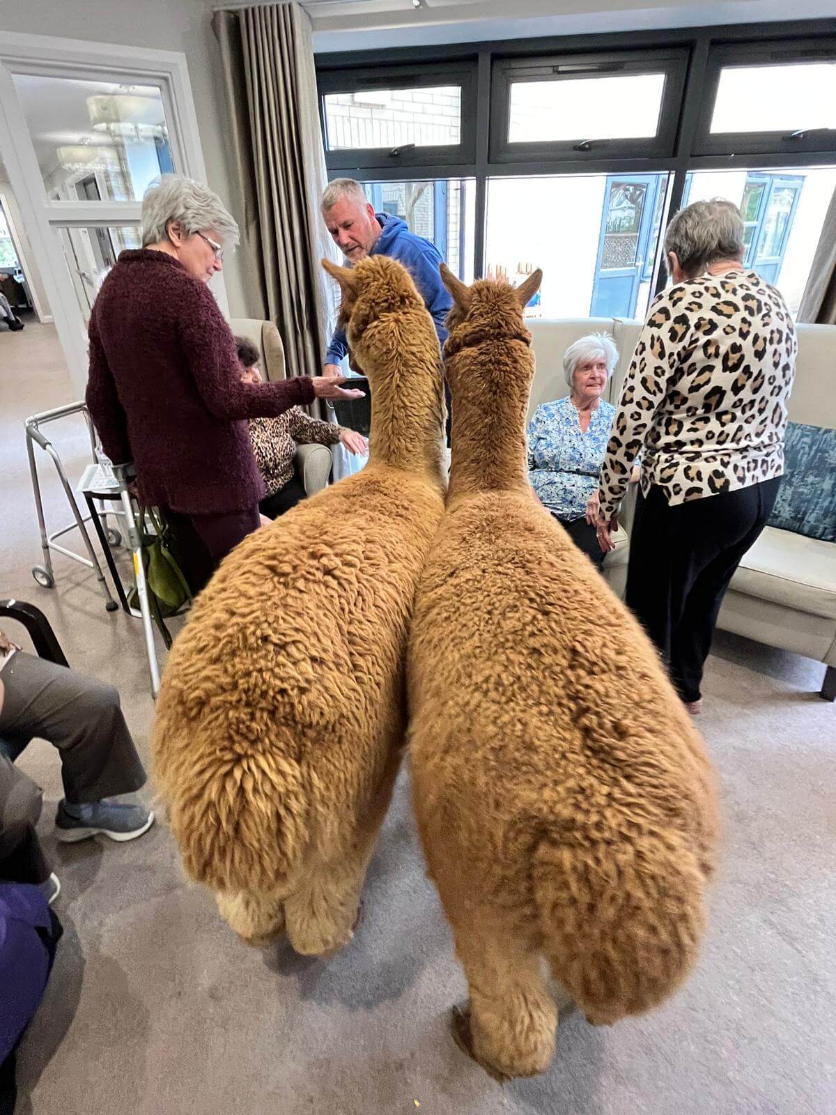 Mayfield welcomes unusual guests! The Mayfield Care Home