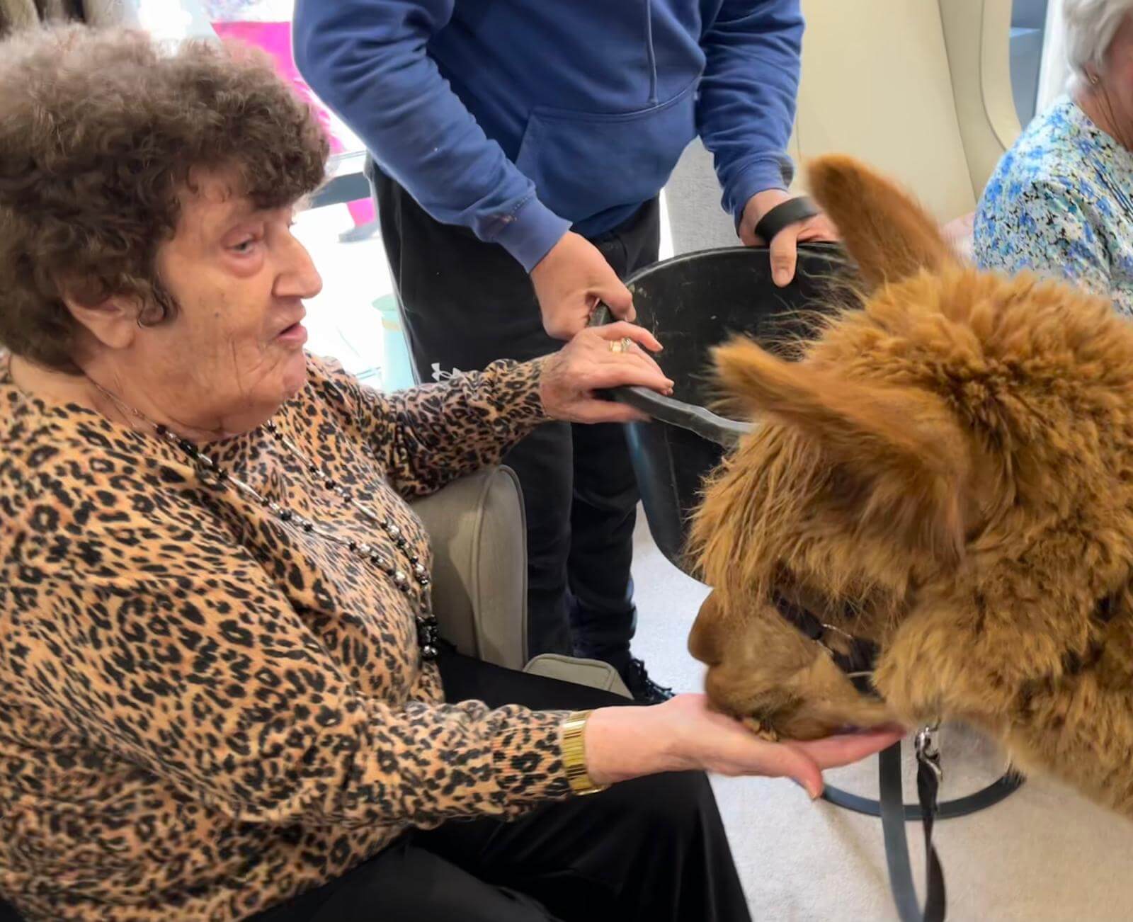 Mayfield welcomes unusual guests! The Mayfield Care Home