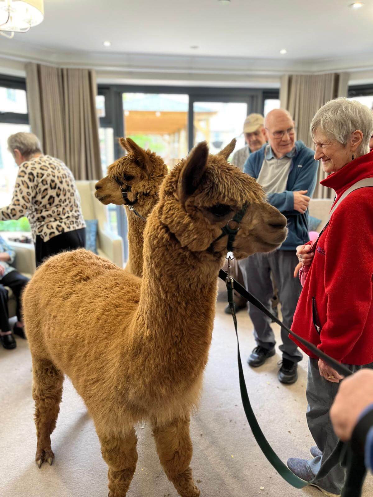 Mayfield welcomes unusual guests! The Mayfield Care Home