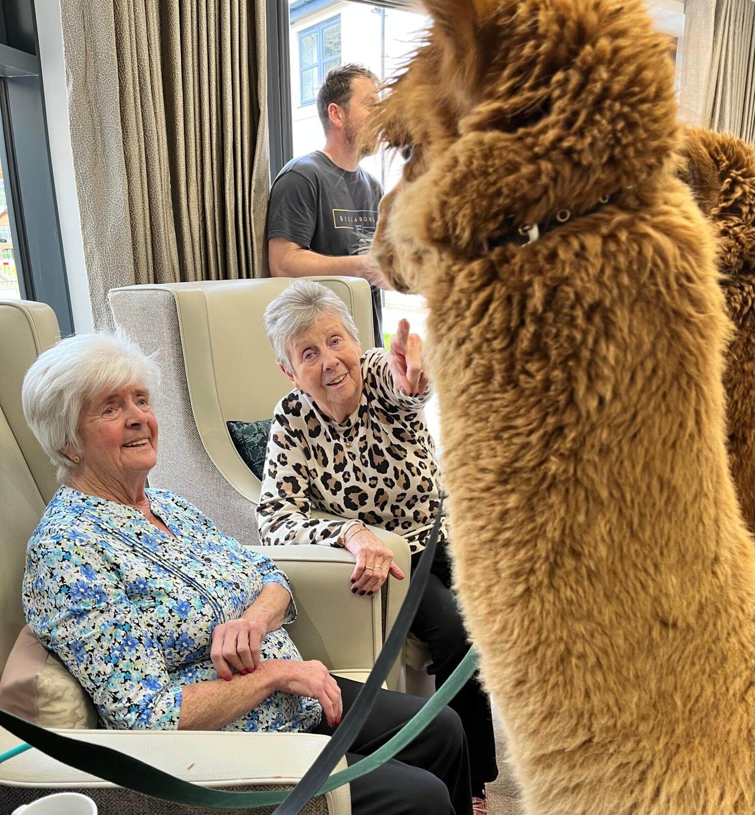 Mayfield welcomes unusual guests! The Mayfield Care Home