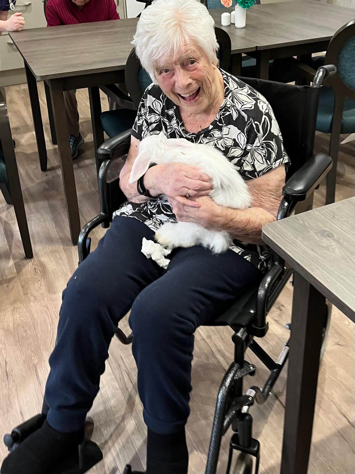 Mayfield welcomes unusual guests! The Mayfield Care Home