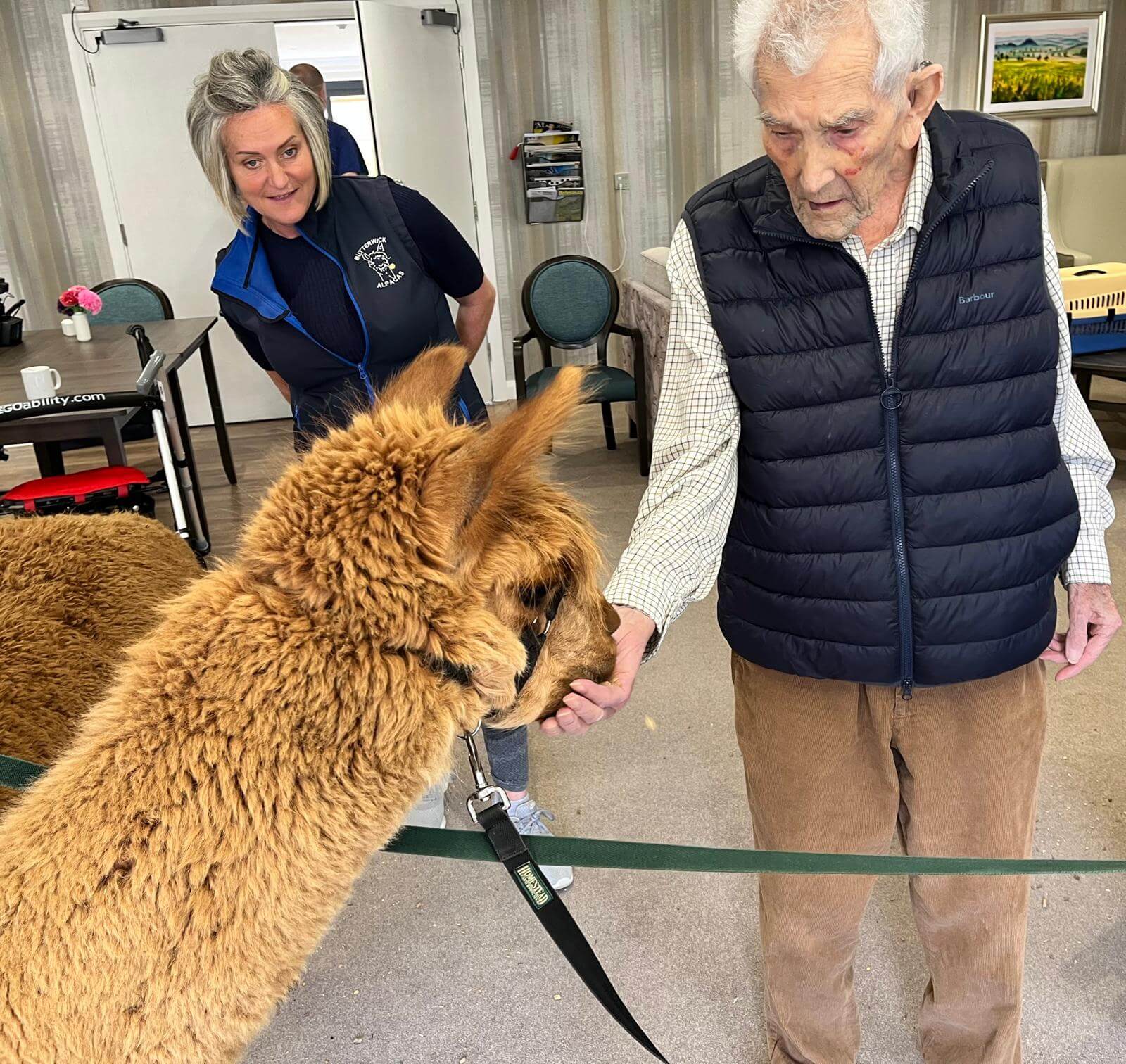 Mayfield welcomes unusual guests! The Mayfield Care Home