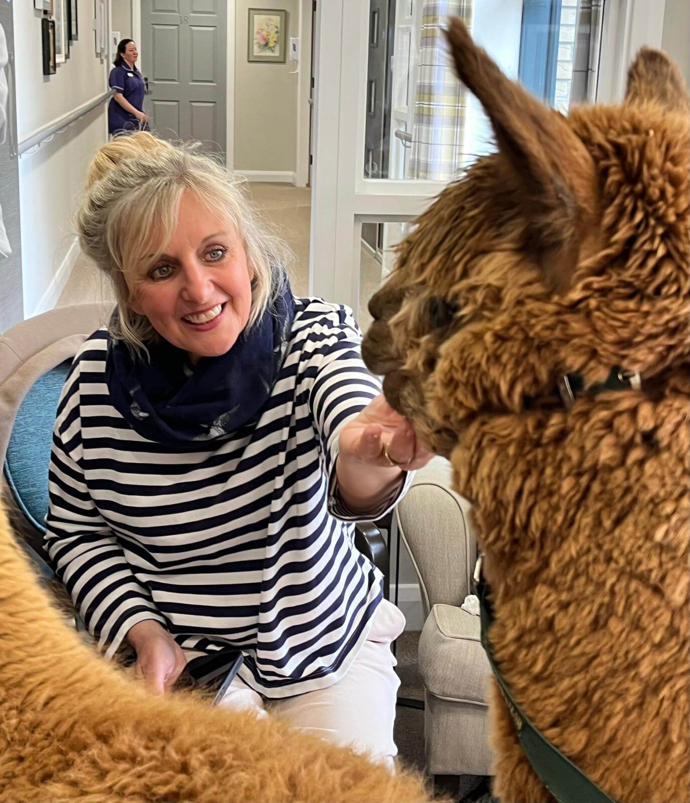 Mayfield welcomes unusual guests! The Mayfield Care Home