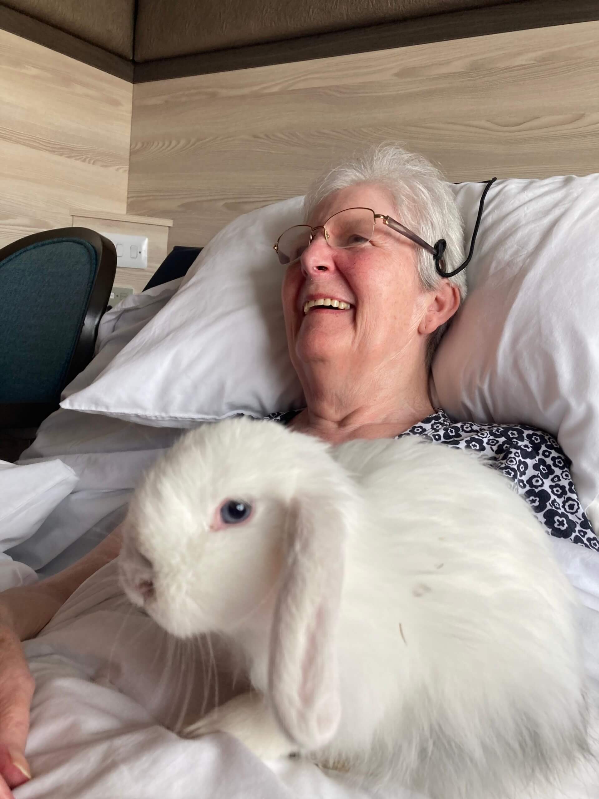 Mayfield welcomes unusual guests! The Mayfield Care Home