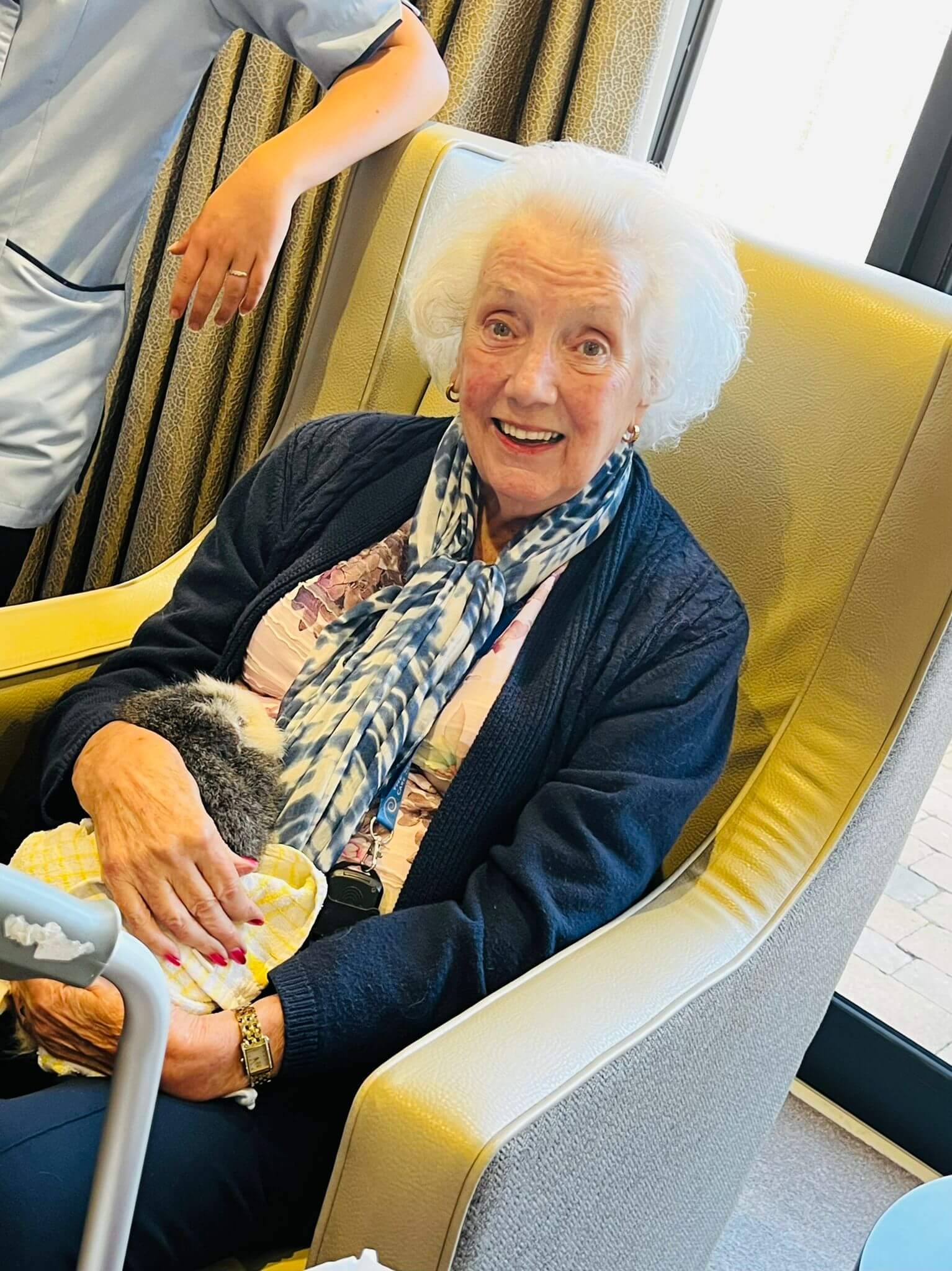 Alpaca visit The Mayfield Care Home