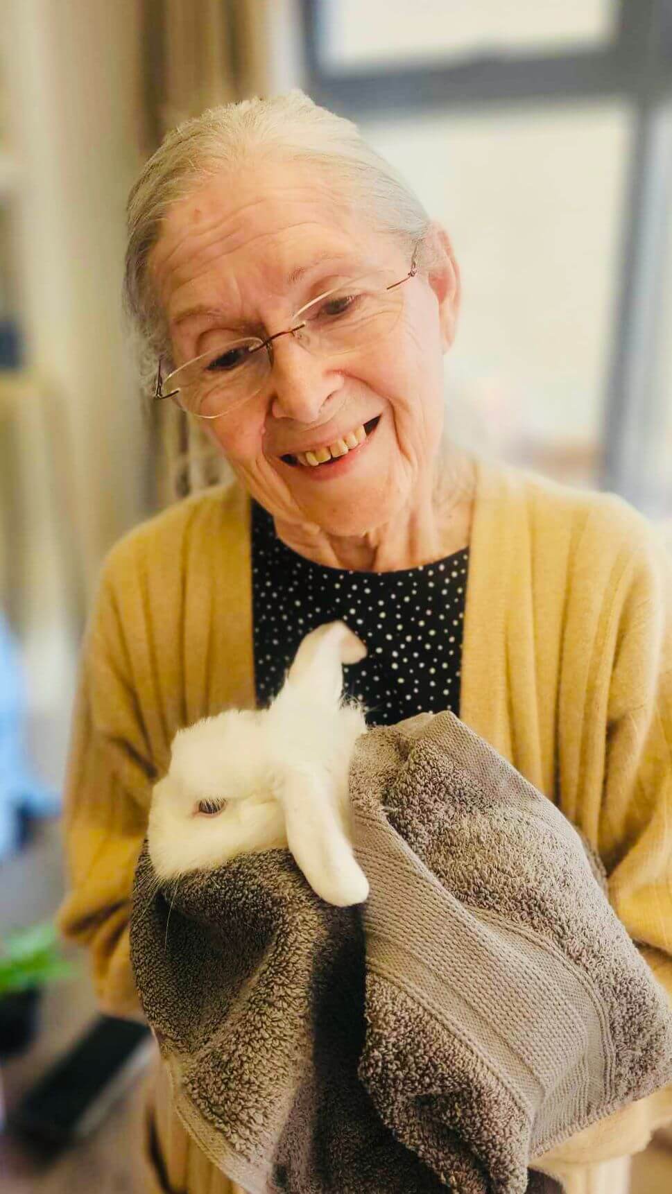 Alpaca visit The Mayfield Care Home