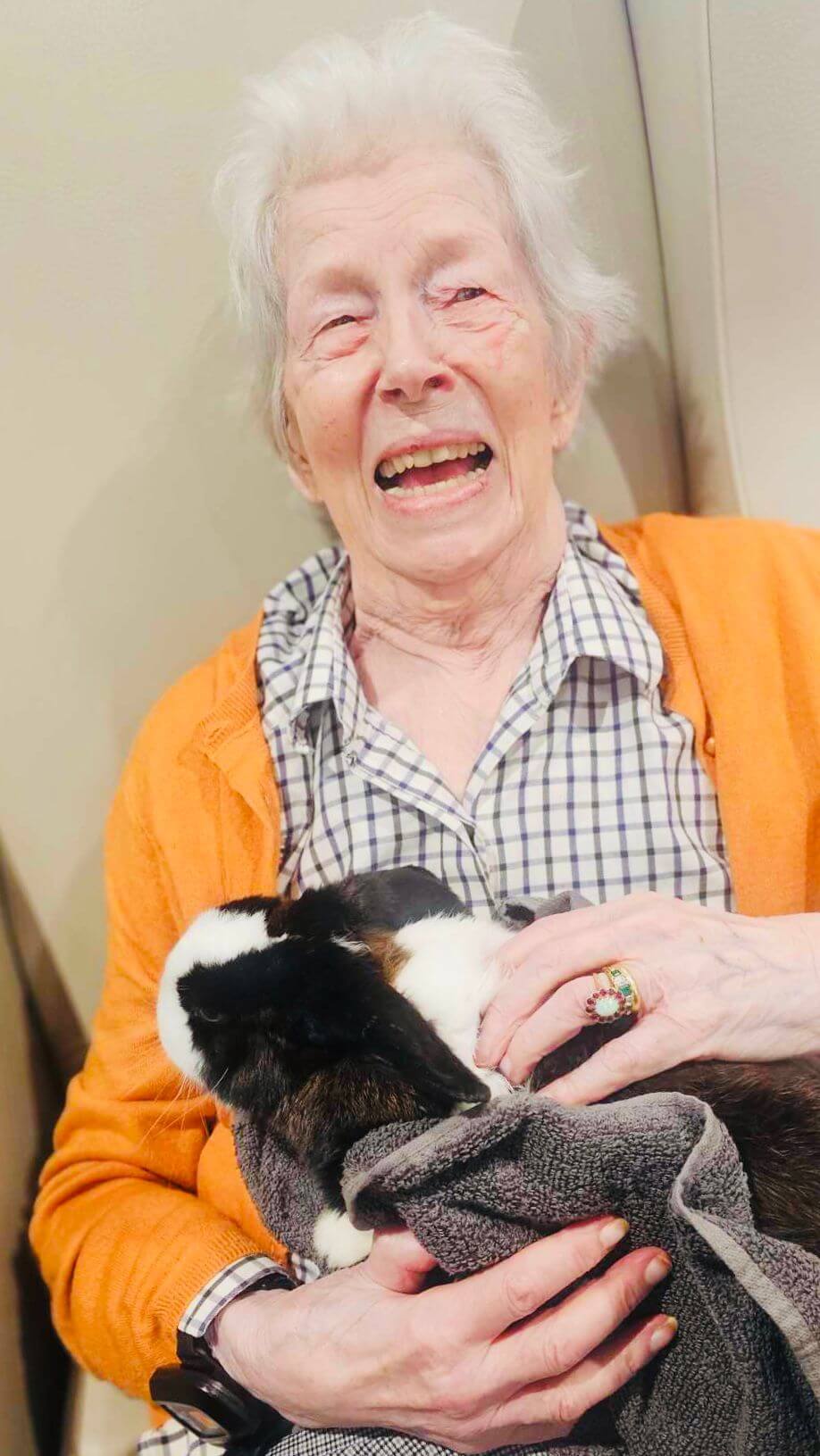 Alpaca visit The Mayfield Care Home